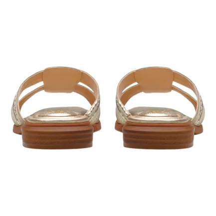 Outlet Ariany Mule Women's Champagne Sandal Women Women's Sandals